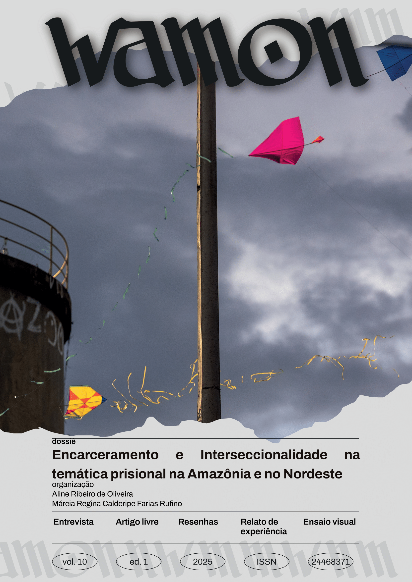 					Visualizar v. 10 n. 1 (2025): Dossiê Encarceramento e interseccionalidade na temática prisional na Amazônia e no Nordeste
				