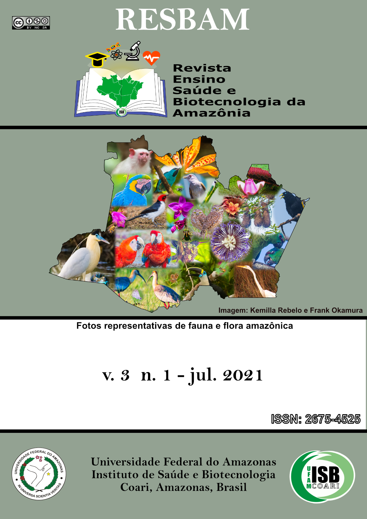 					Visualizar Revista Ensino, Saúde e Biotecnologia da Amazônia, Coari - AM, v. 3 n. 1, ago. 2021
				