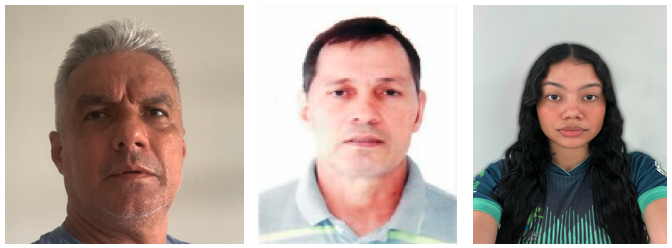 Fonte: Ivan de Jesus Ferreira; Daurimar Pinheiro Leão; Milena Pantoja Acioli (2025).