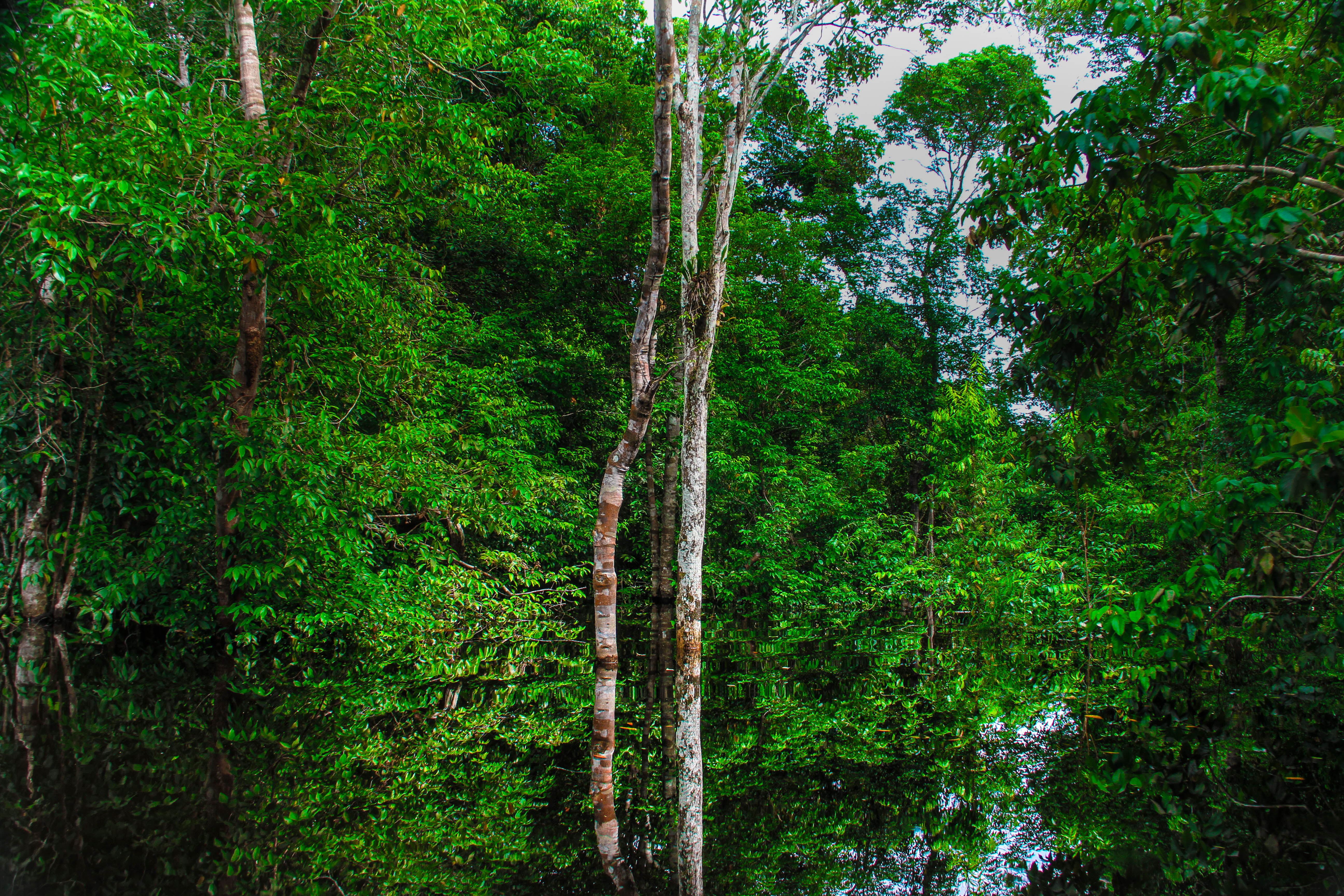 Fonte: Kemel Barbosa (2025).