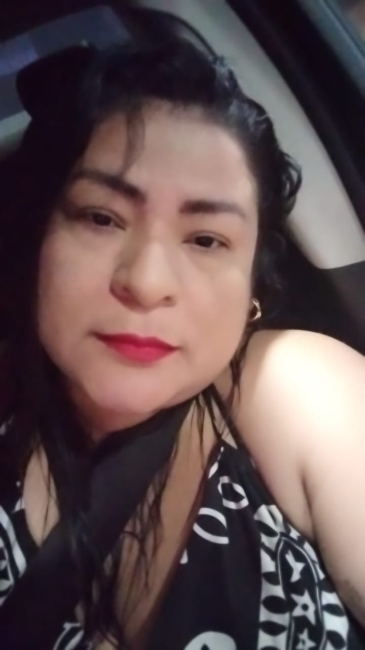 Fonte: Wendell Teles de Lima (2025).