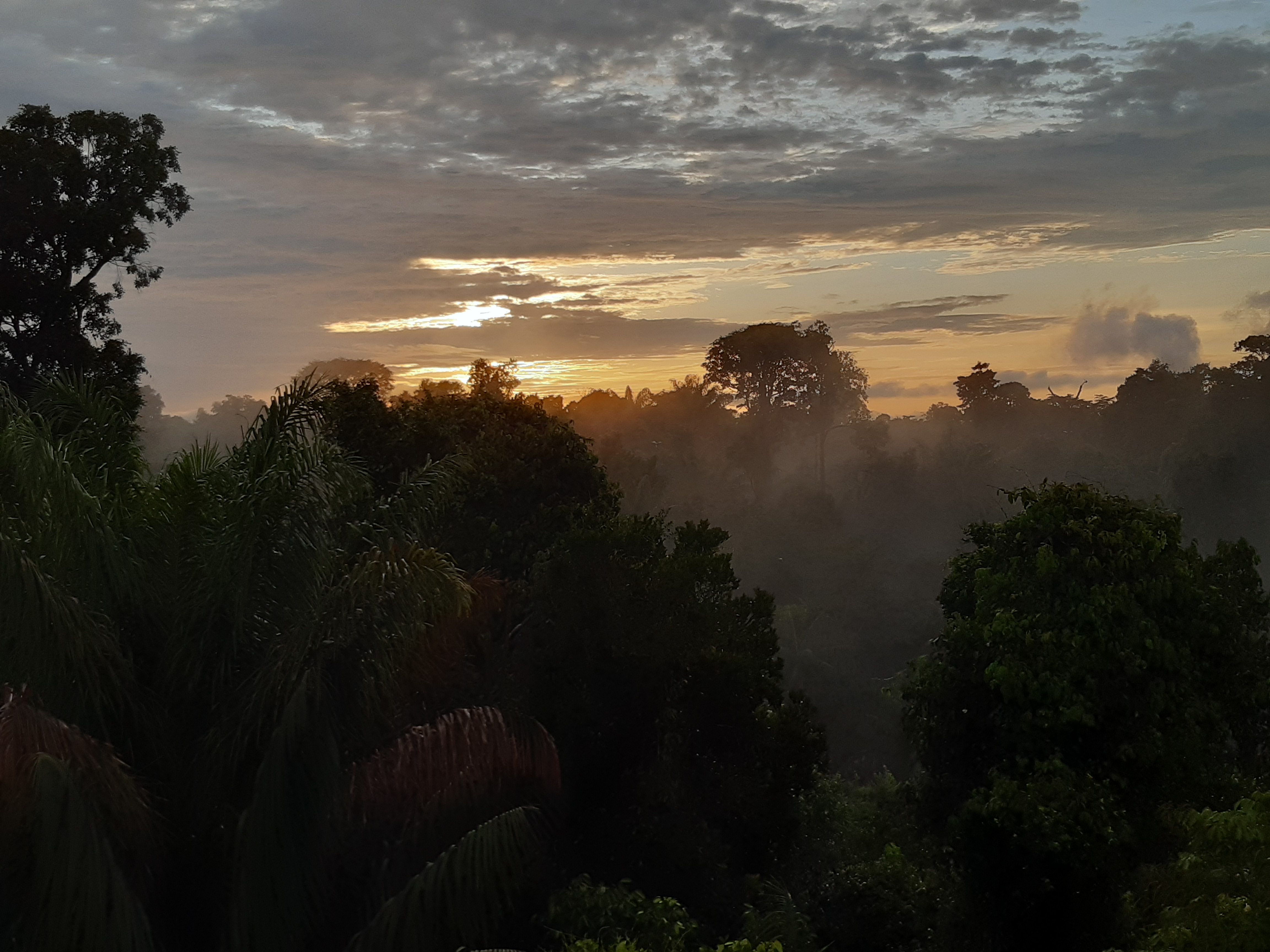 Fonte: Kemel Barbosa (2024).