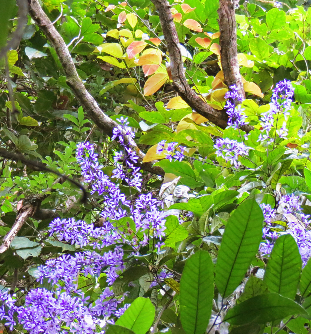 Fonte: Kydroges Roges (2024).