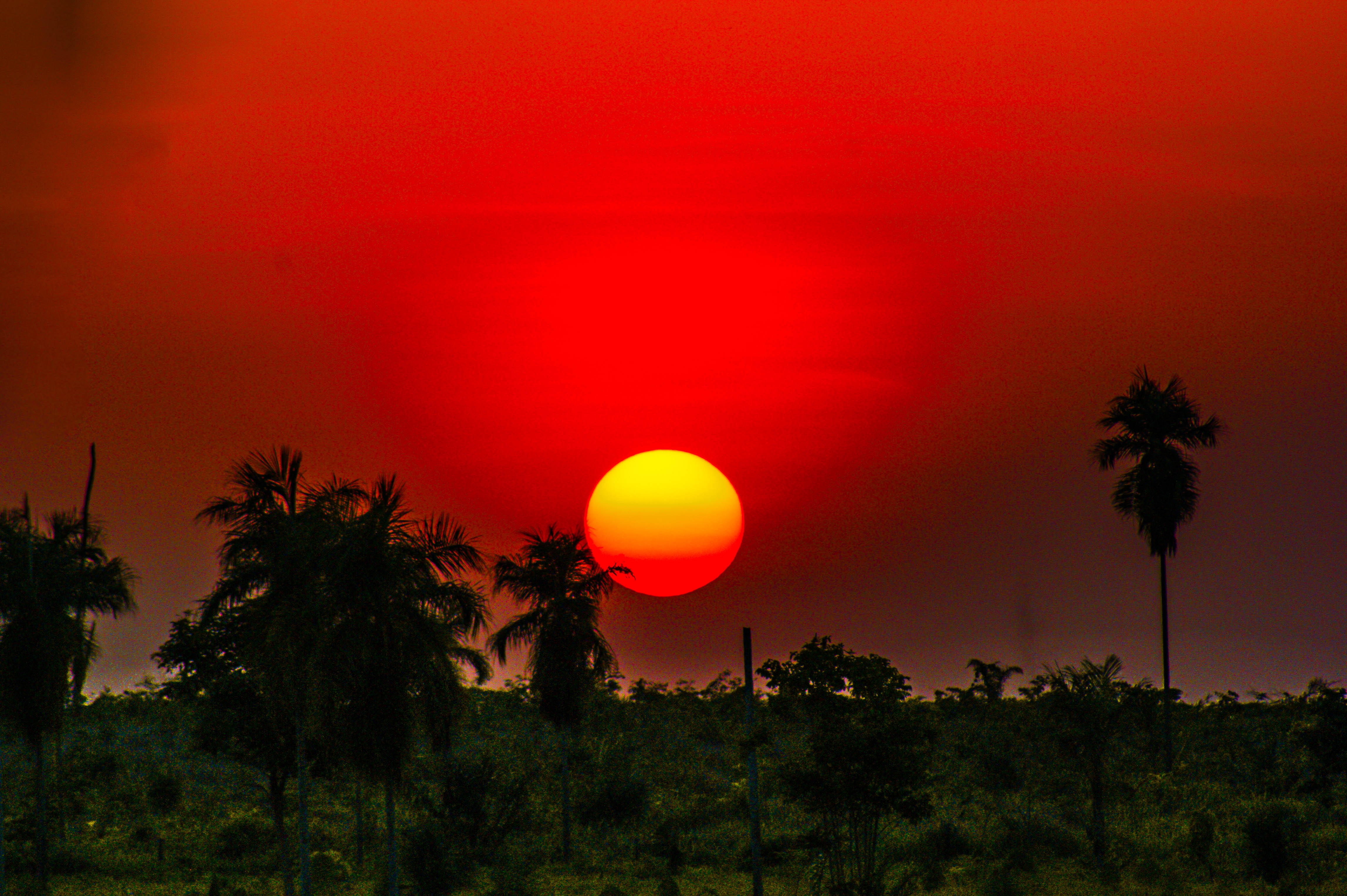 Fonte: Kemel Barbosa (2024).