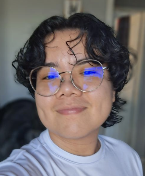 Fonte: Ana Beatriz Ferreira (2025).