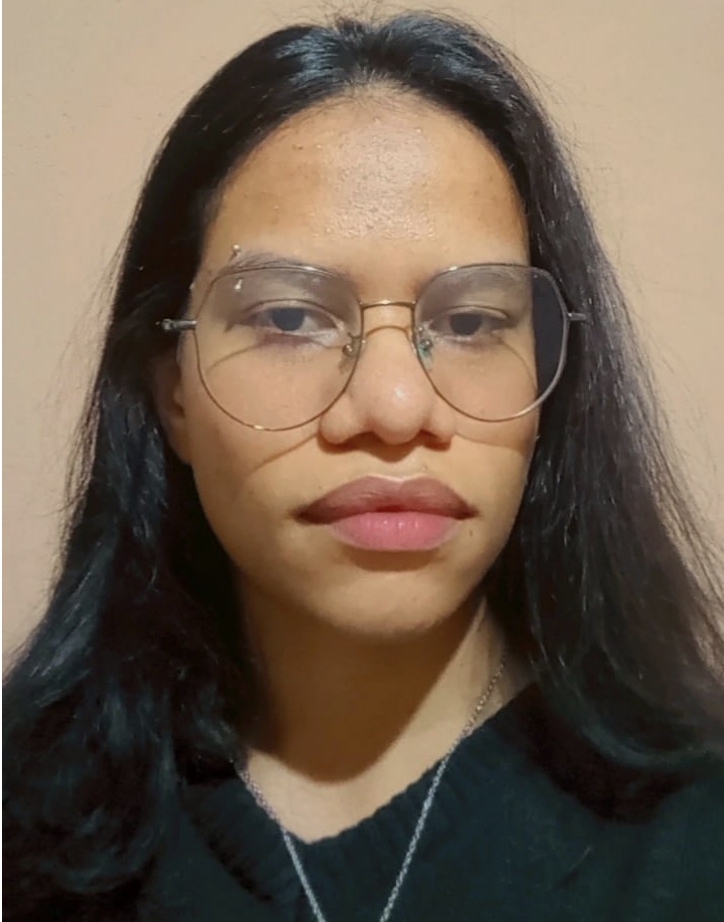 Fonte: Vitória Beatriz Rodrigues de Figueiredo (2025).