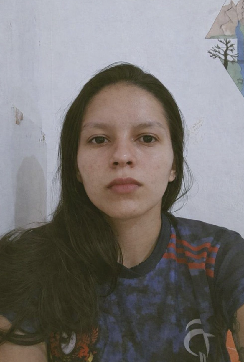 Fonte: Bruna Caroline Taveira Rodrigues (2025).