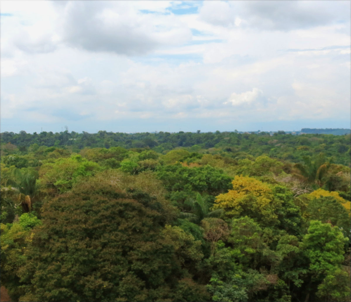 Fonte: Kemel Barbosa (2026).