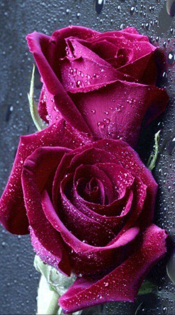 Fonte: Pinterest (2026).